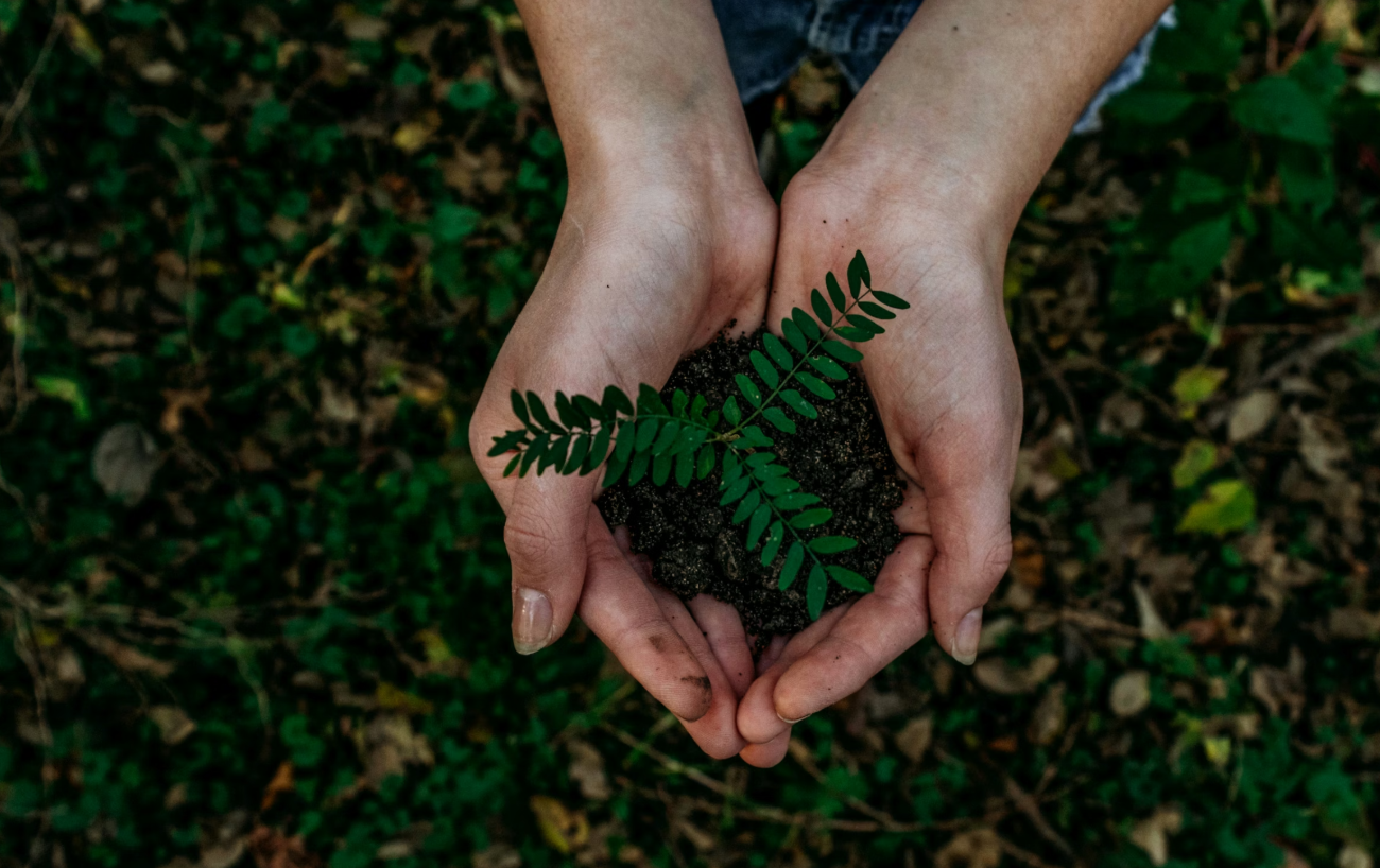 Forest owner in the forest